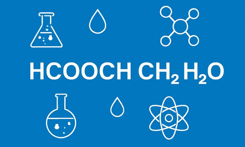 Understanding the Chemical Process of HCOOCH CH2 H2O
