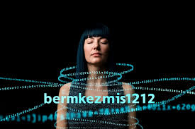 bermkezmis1212