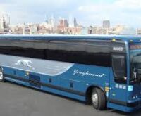 bus from nyc to binghamton ny