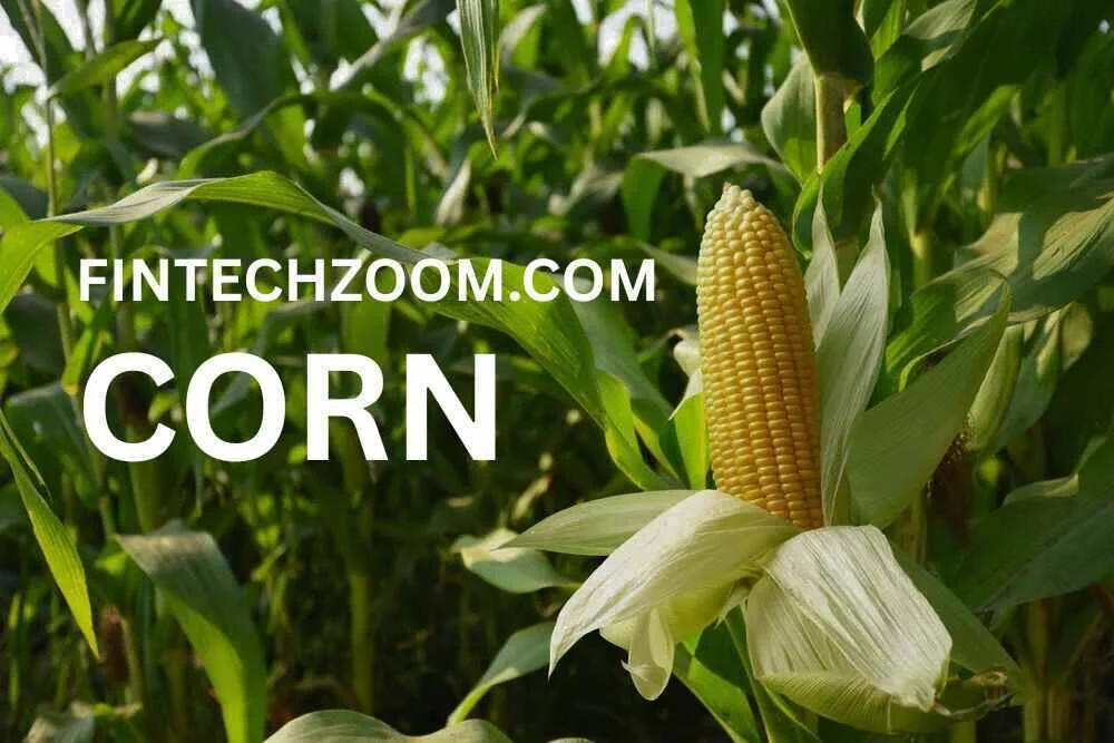 fintechzoom.com corn